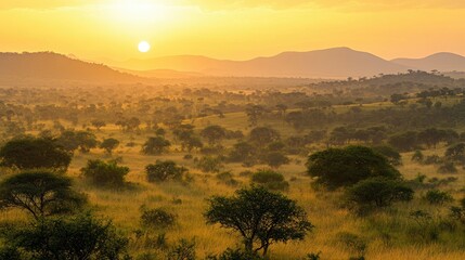 The rolling hills of Kruger National Park, with acacia trees scattered across the landscape and the sun setting in the distance.