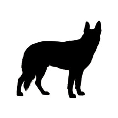 Dog Icon | Dog Drawing | Dog Illustration
