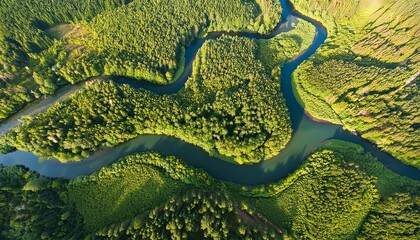 meandering river in forest flat top view, AI generated