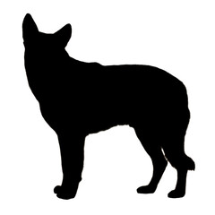 Dog Drawing | Dog Silhouette | Dog Illustration