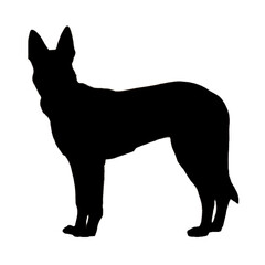 Dog Drawing | Dog Silhouette | Dog Illustration