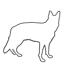 Dog Drawing | Dog Outline | Hand Drawn Dog