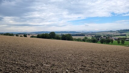 landscape with a field and trees