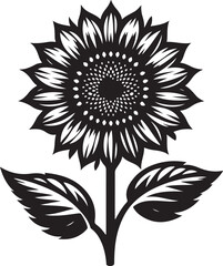 Sunflower Clipart vector with white background