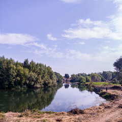 Obraz premium Landscape with river, trees and blue sky