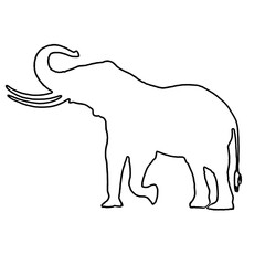 Elephant Drawing | Elephant Outline | Hand Drawn Elephant