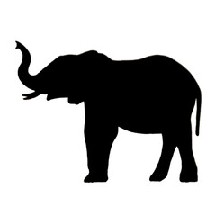 Elephant Illustration | Elephant Drawing | Elephant Icon