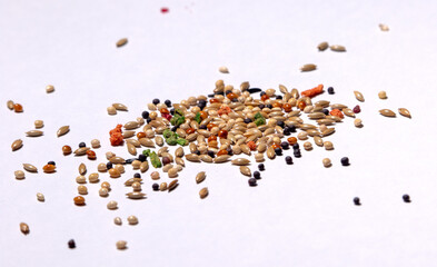 Birds food seed on white background