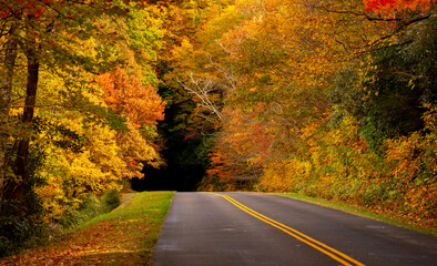 Obraz premium Fall Colors with Scenic Roadway