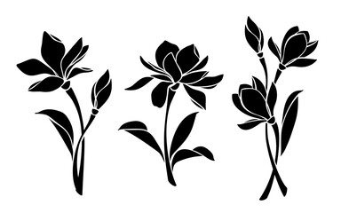 Magnolia flowers. Black silhouettes of magnolia flowers isolated on a white background. Set of vector illustrations