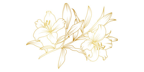 Golden lily flowers line art isolated on white background. Luxury lilies floral design elements for invitation, wedding, wallpaper, print template, vector illustration