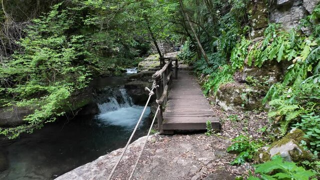 Marvelous scenery at the Grotte del Bussento WWF Oasis, near Morigerati. Cilento, Campania, Italy.