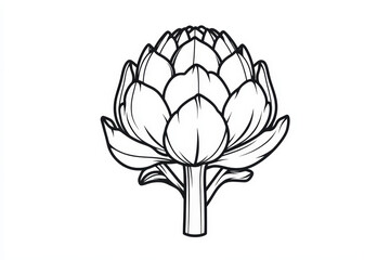 Obraz premium Illustration of an artichoke plant on white background, showing its edible flower bud
