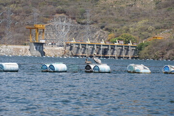 Fototapeta premium Hydraulic dam, boat, sky, sumidero canyon, clouds, grijalva river, trees, vegetation, mountains, pelicans, birds at chiapas, mexico