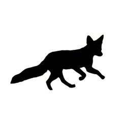 Fox Drawing | Fox Illustration | Animal Clipart