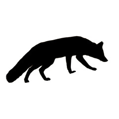 Fox Clipart | Hand Drawn Fox | Fox Illustration