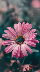 Elegant Floral Wallpapers for Your Device