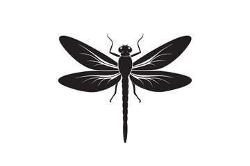Dragonfly silhouette vector illustration, Dragonfly silhouette vector, Dragonfly silhouette  drawing