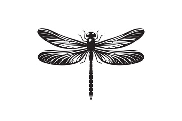 Dragonfly silhouette vector illustration, Dragonfly silhouette vector, Dragonfly silhouette  drawing