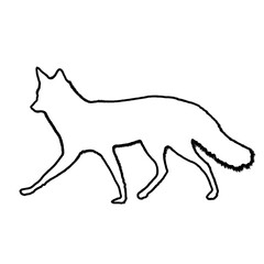 Fox Drawing | Fox Outline | Hand Drawn Fox