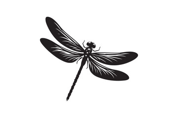 Dragonfly silhouette vector illustration, Dragonfly silhouette vector, Dragonfly silhouette  drawing