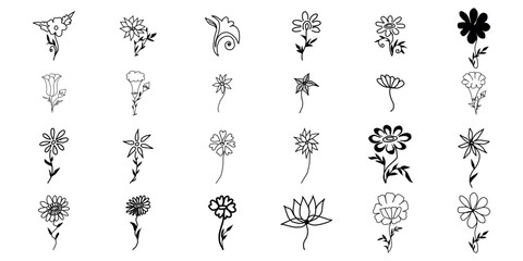 set of hand-drawn line art ornament floral illustration 