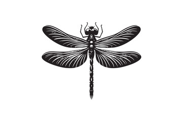 Dragonfly silhouette vector illustration, Dragonfly silhouette vector, Dragonfly silhouette  drawing