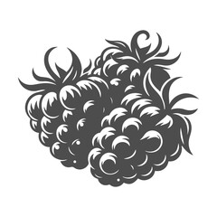Bold black silhouette of a raspberry, ideal for food illustrations, healthy eating designs, and organic fruit graphics