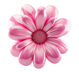 Elegant pink flower, top view, flat lay, on transparent background. Cut out design element for beauty, festive themes. Blossom. Mothers or Women's Day
