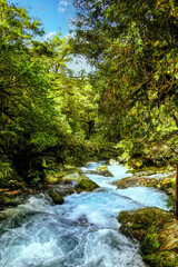 A small river  in Milford Sounds, New Zealand
