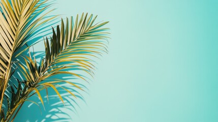 Tropical Palm Leaves on Aqua Background