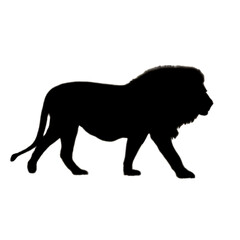 Lion Clipart | Hand Drawn Lion | Lion Illustration