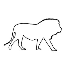 Lion Outline | Lion Drawing | Lion Illustration