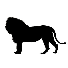 Lion Illustration | Lion Silhouette | Lion Icon