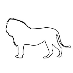 Lion Drawing | Lion Outline | Hand Drawn Lion
