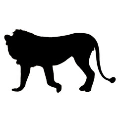 Lion Drawing | Lion Silhouette | Lion Illustration