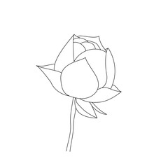 Lotus flower in continuous line art drawing style. Water lily black linear design isolated on white background. Vector illustration
