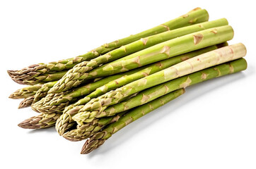 'Fresh green asparagus sprouts at white background