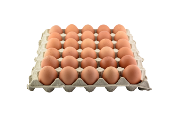 eggs in eco cardboard tray isolated on transparent, row of organic eggs product