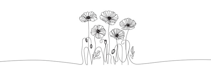 Adobe Illustrator Artworkvector image of poppy flowers in single line style on white background 