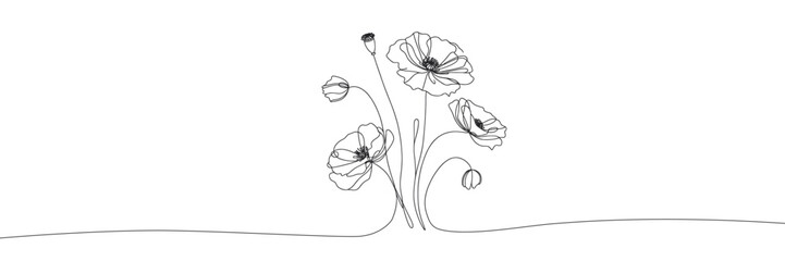 vector image of poppy flowers in single line style on white background 