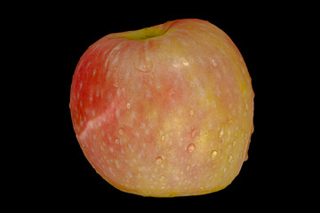 Close-up photo of an apple with water drops on a black background. Type of apple: Pink Lady