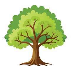 Obraz premium Beautiful Single Big Tree Vector Illustration