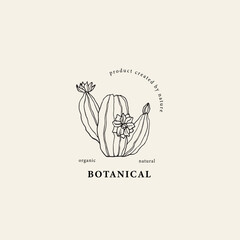 Hand drawn cactus flower illustration