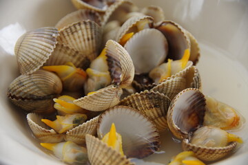 a white plate of steamed cockles