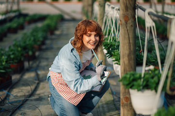 Gardening farmer amazed by progress of her vertical garden in greenhouse