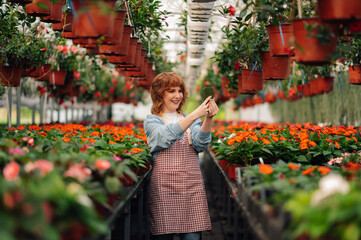 Female gardener taking pictures of beautiful flowers in greenhouse