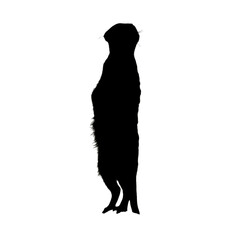 Meerkat Illustration | Meerkat Silhouette | Meerkat Icon