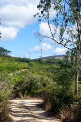 Wind turbines at the Candeeiros Norte Wind Farm in Portugal, set against a backdrop of rolling hills and a clear sky, harnessing renewable energy amidst natural landscapes.