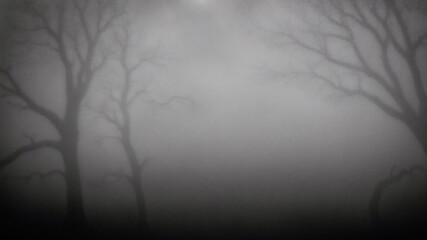 Obraz premium misty morning mist.